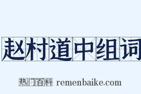 赵村道中组词是什么意思的图片